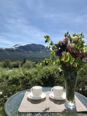 Privat leilighet! Oppdal Alpintun, Skisenter-Stølen